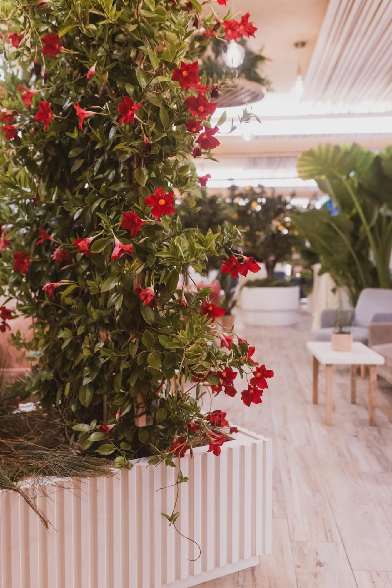 Sentido Michelizia Tropea Resort Bagian luar foto